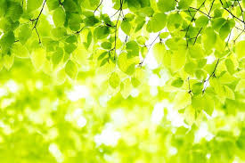 銚子市のめまい専門｜原因不明のフワフワ・ぐるぐるをモルフォセラピーで改善